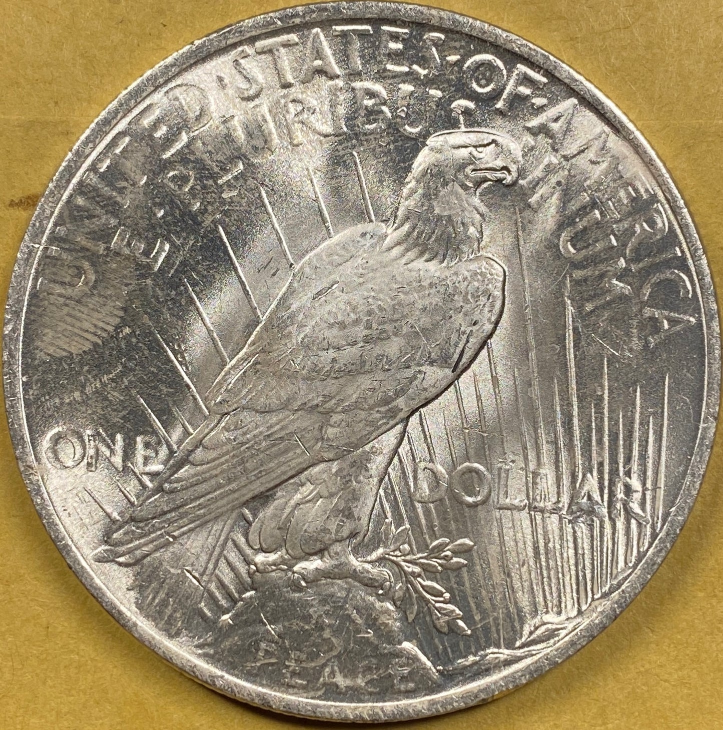 LOT OF (1) 1922-1925 Silver Peace Dollar Brilliant Uncirculated Random Date